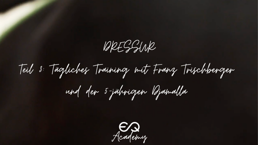 equimus Academy Dressur mit Franz Trischberger