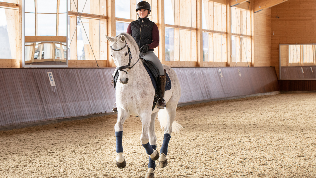 equimus Academy Dressur Teil 4: Pirouetten-Arbeit mit Diana Porsche und dem 11-jährigen Snowball
